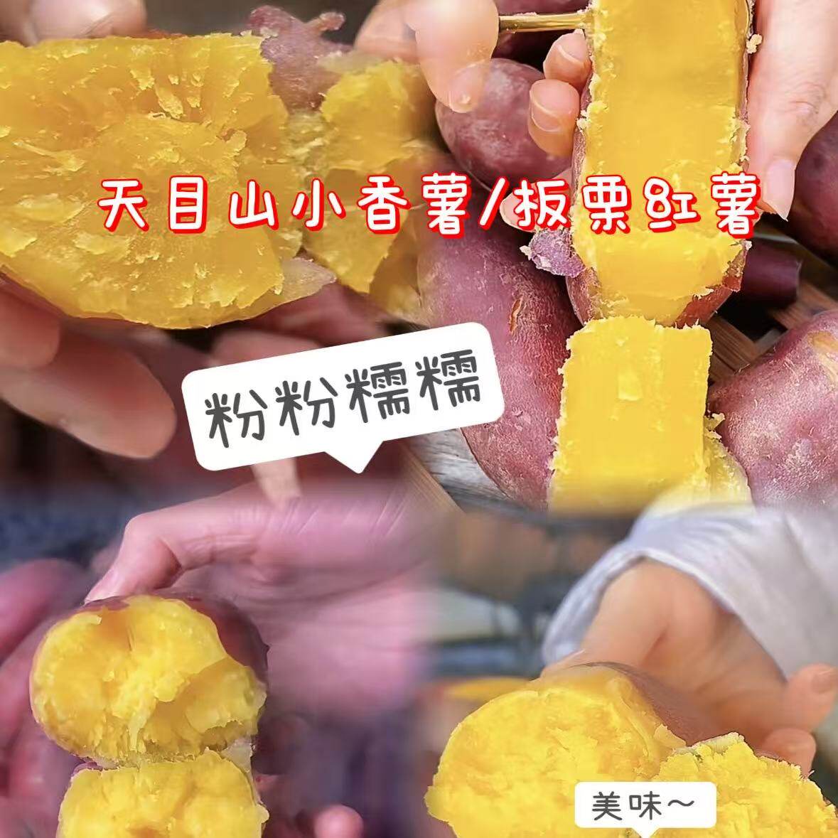 浙江杭州临安天目山小香