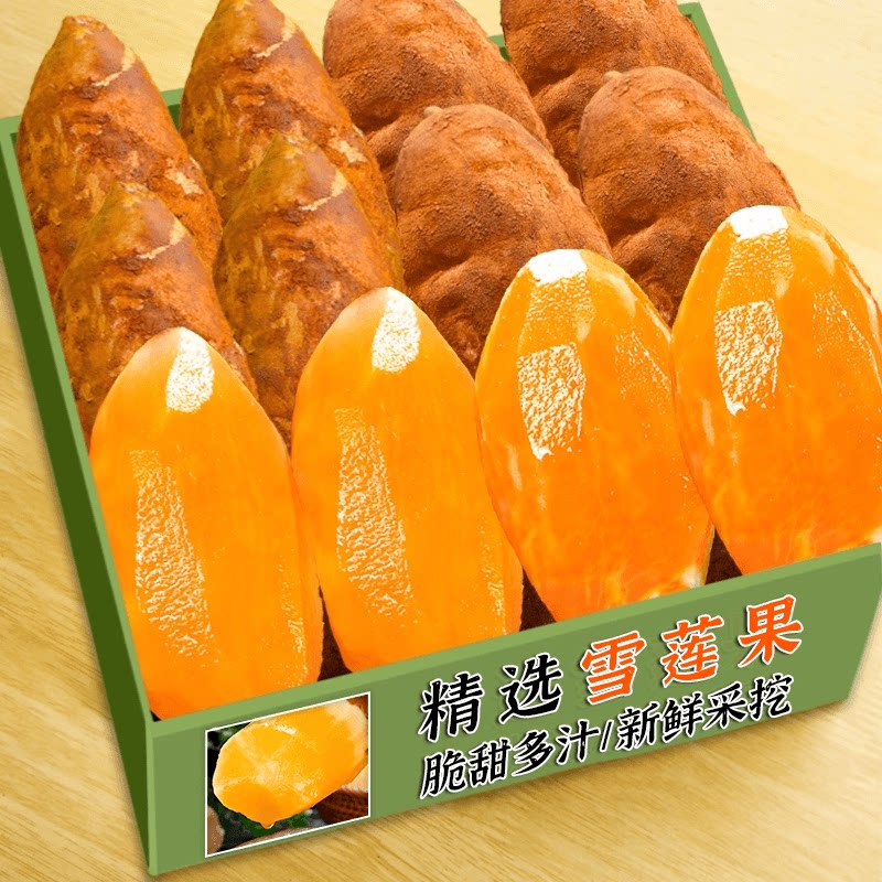 现挖云南天山雪莲果红泥