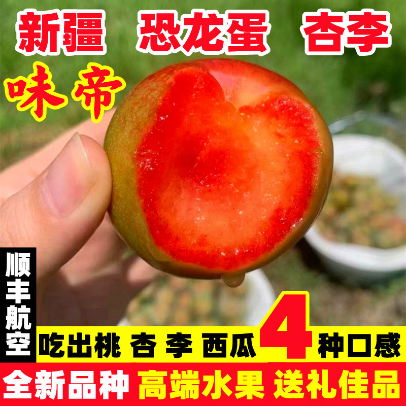 新疆恐龙蛋李子新鲜水果
