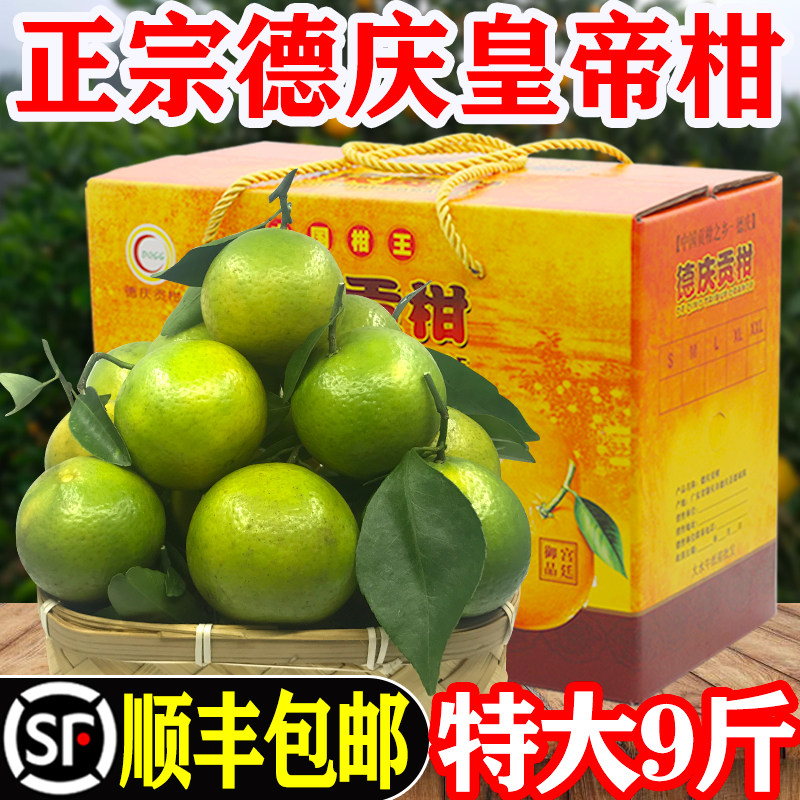 顺丰正宗德庆皇帝柑新鲜贡柑桔子当季黄帝柑5/10斤大果礼盒装橘子