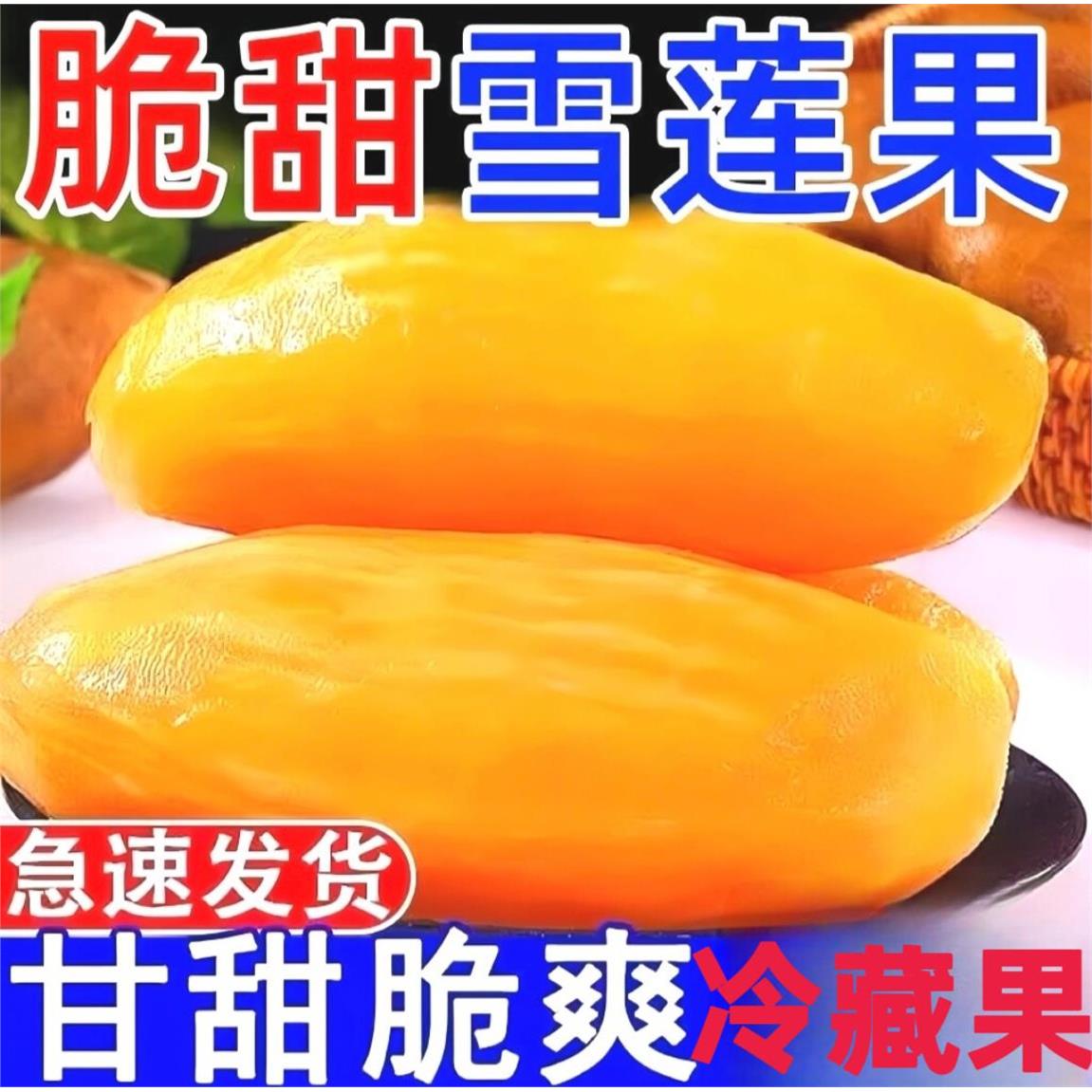 现货!天山雪莲果新鲜水