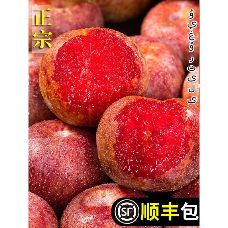 新疆玫瑰恐龙蛋李子应当
