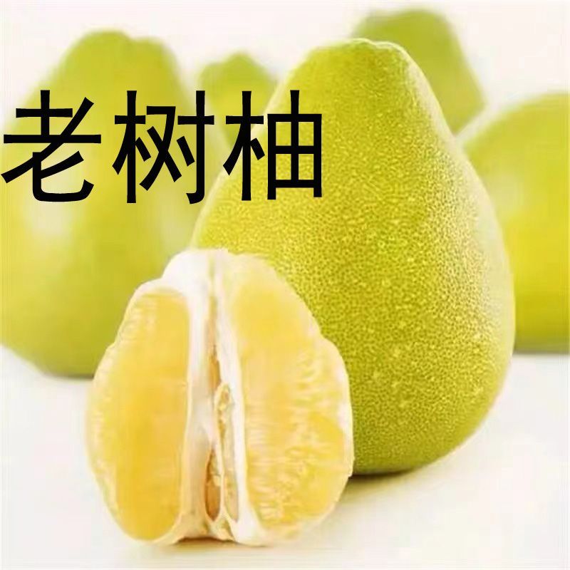 白肉柚子梅州新鲜水果非