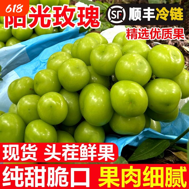 正宗阳光玫瑰葡萄云南晴