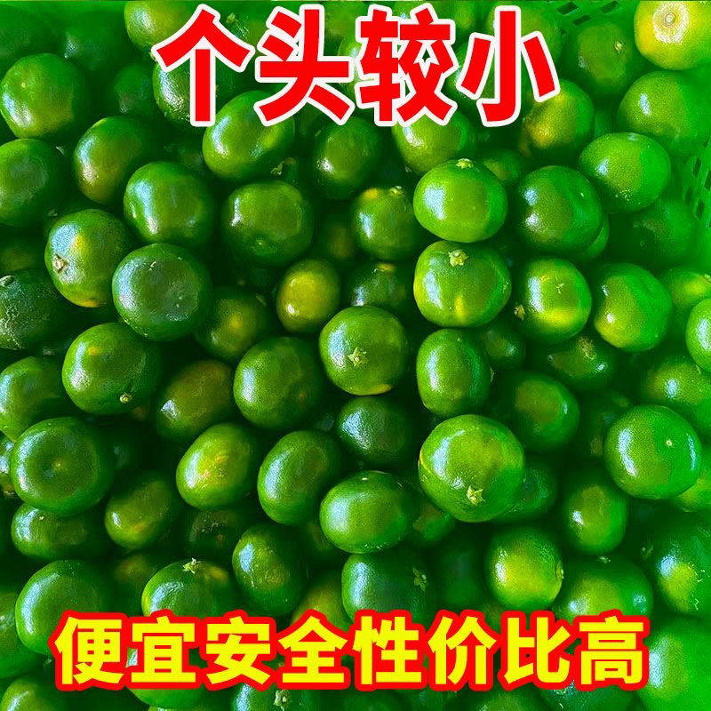 【小蜜桔】涌泉薄皮小香桔新鲜桔子青皮孕妇蜜桔薄皮无籽甜多酸少