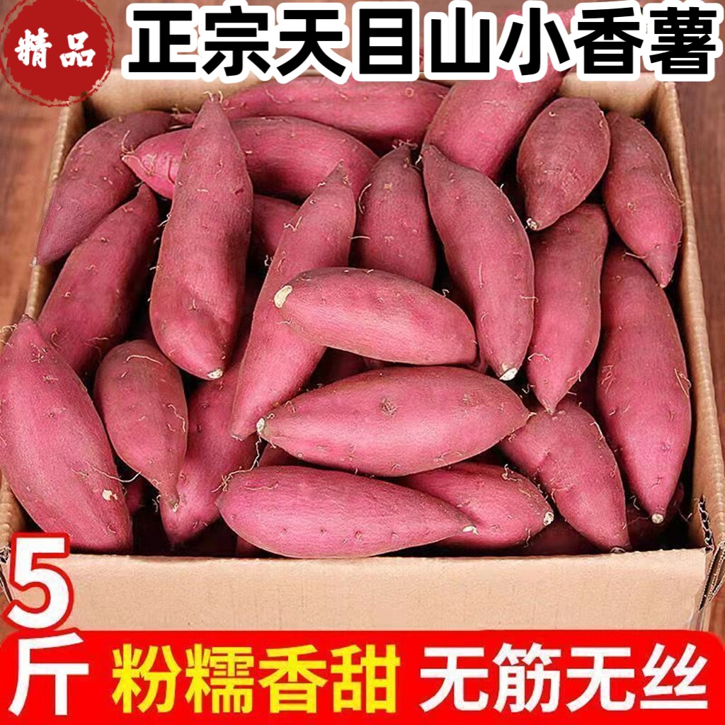 临安天目山小香薯沙地香