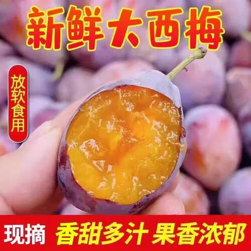 2026年西梅新鲜水果香甜