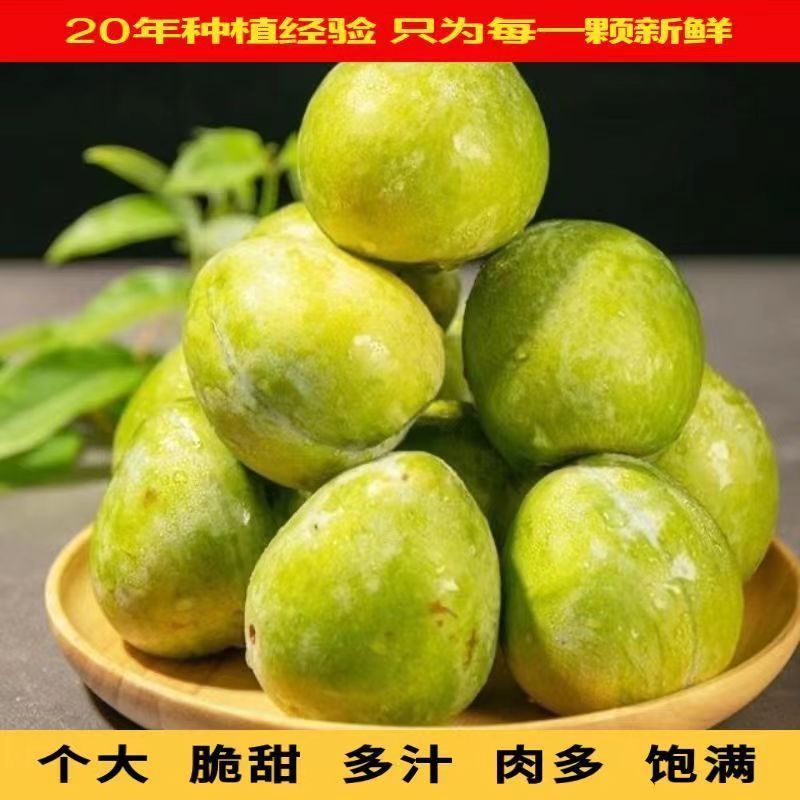正宗江西奈李油奈李青脆李蜂糖脱骨李当季黄金奈李子新鲜水果包邮