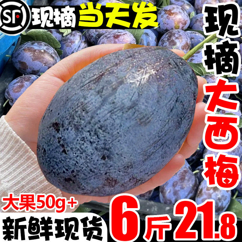 四川西梅正宗新鲜水果5斤