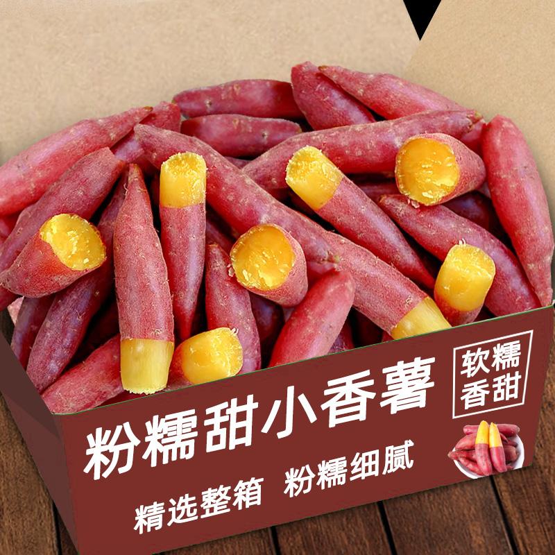 天目山小香薯粉糯香甜应