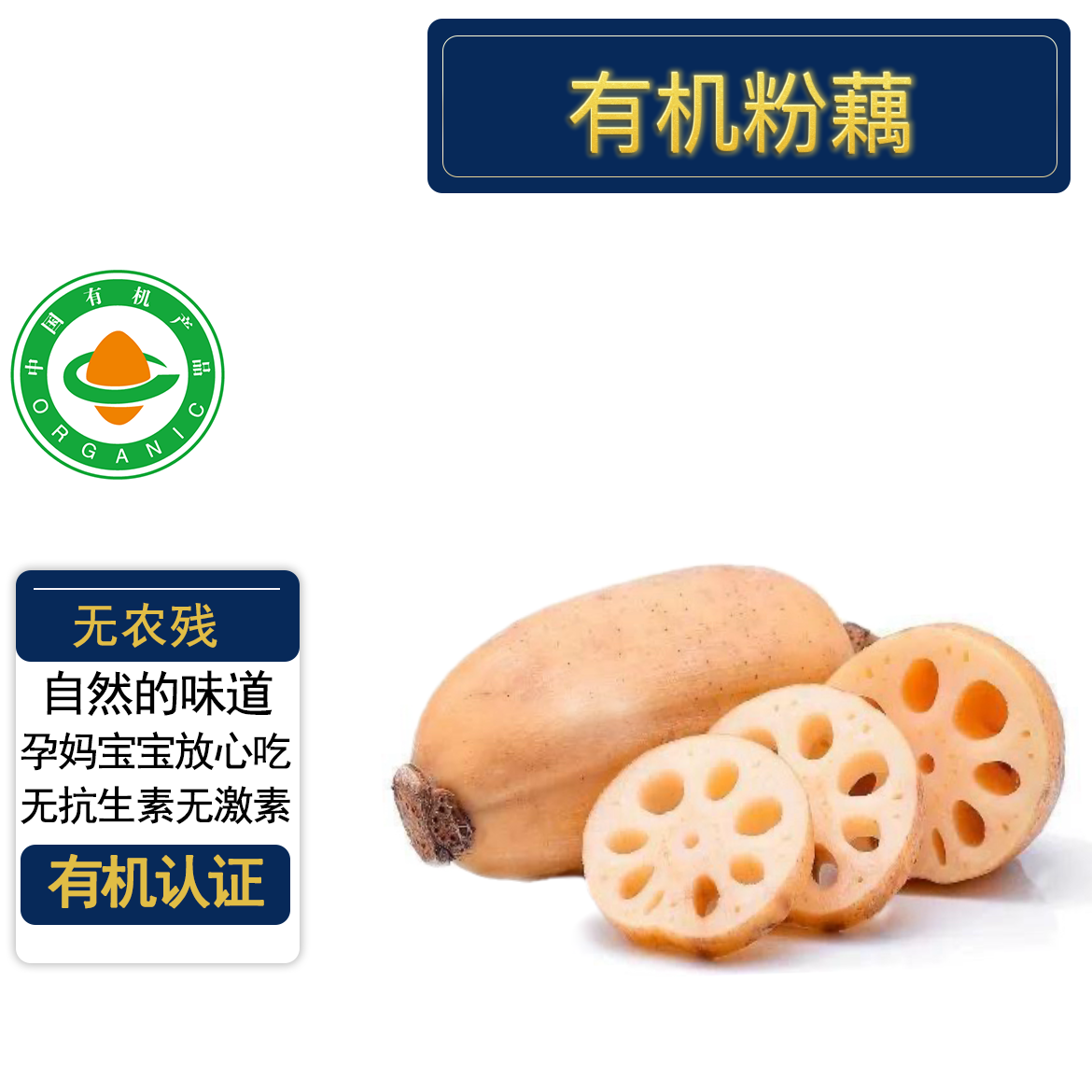 正宗洪湖有机粉藕5斤 有机认证无农残 现挖带泥分糯香甜拉丝煲汤