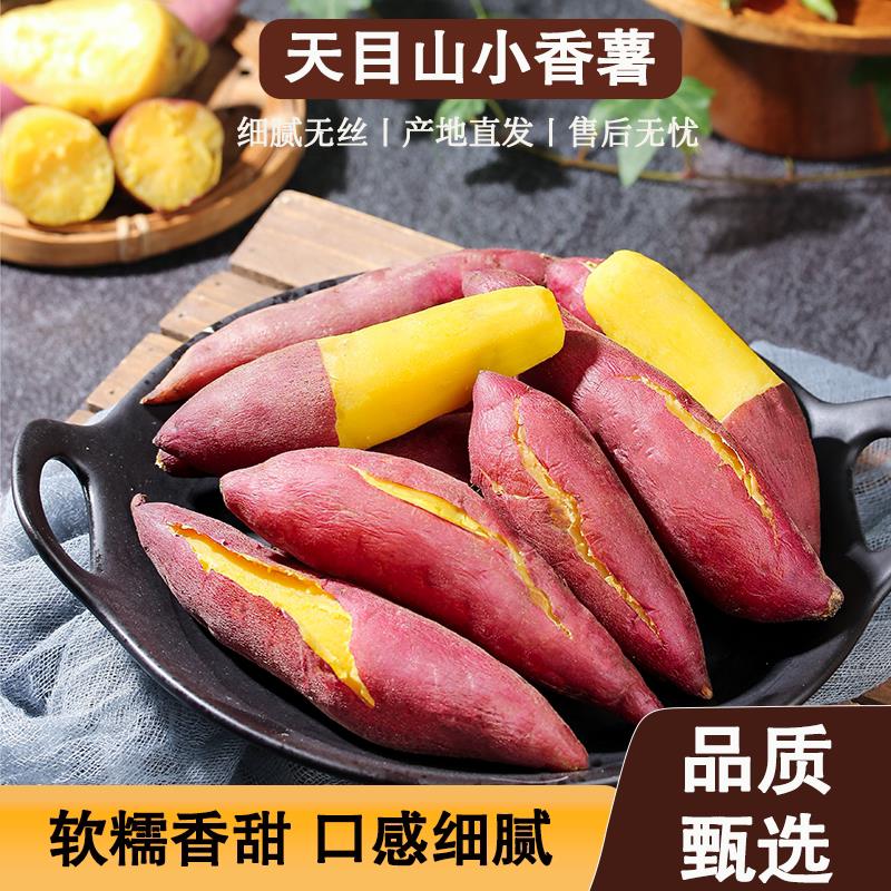 正宗天目山小香薯板栗红