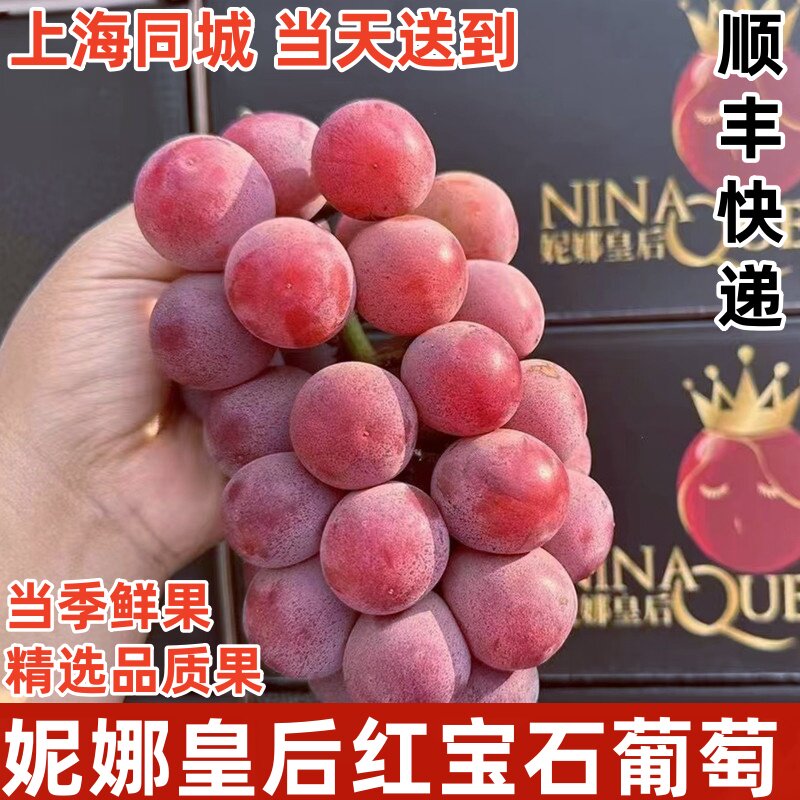 妮娜皇后葡萄红宝石红提