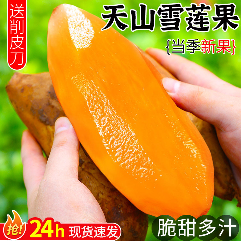 云南天山雪莲果红心新鲜