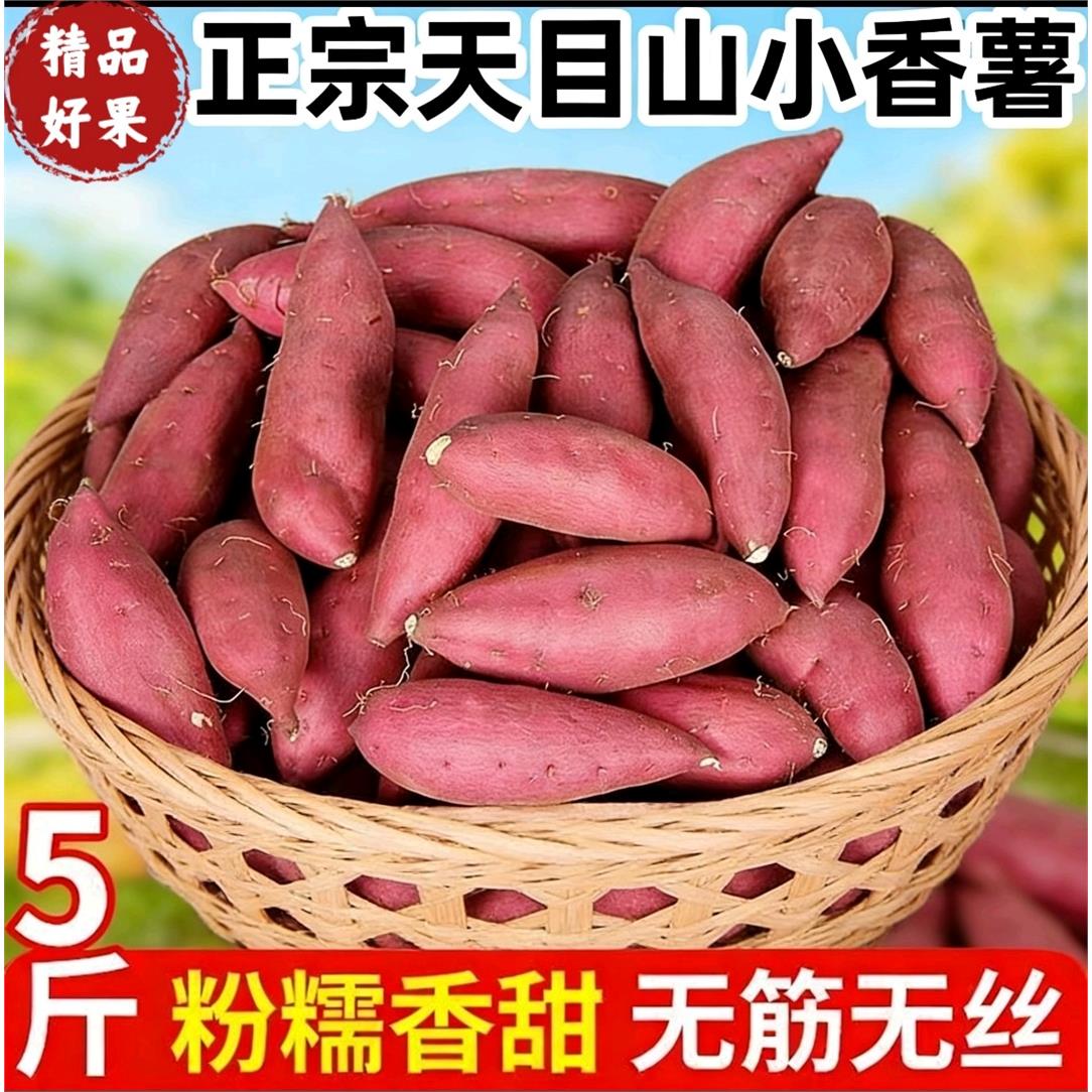 天目山小香薯旗舰店5斤正