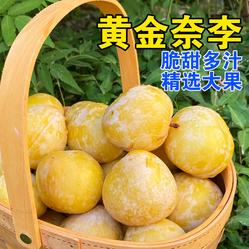 正宗湖南黄金奈李新鲜现摘现发农家孕妇应季水果脱骨蜂糖李子包邮
