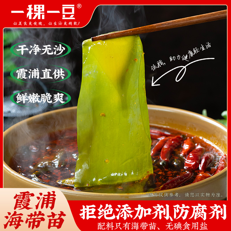 新鲜海带凉拌裙带菜火锅食材