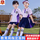 幼儿园园服翻领演出服全棉 两件套小学生班服运动套装 短袖 紫色夏款