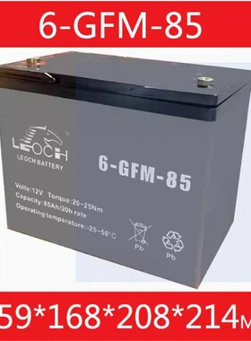 中力电动叉车12V小金刚配件电瓶蓄电池30A65A85AH合力 杭叉 诺力