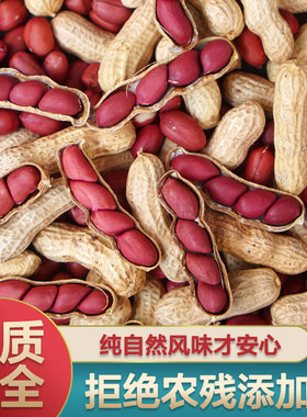 广东红皮带壳花生新货花生米500g