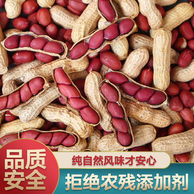 广东红皮带壳花生新货花生米500g