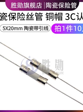 5*20mm陶瓷保险管 6A 250V F6AL快熔断 6X30带引线 线脚陶瓷保险