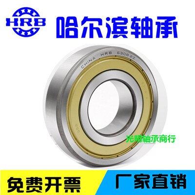 HRB哈尔滨高速电机轴承6018 6019 6020 6021 6022 6024-2RZ ZZ/P5