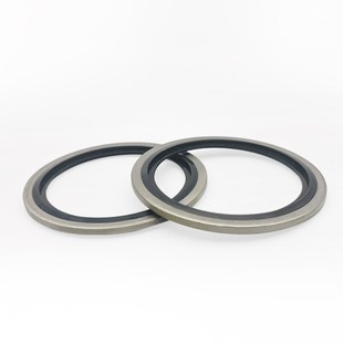 骨架油封 O型圈 304不锈钢英制组合垫 JB982组合垫圈垫片密封圈