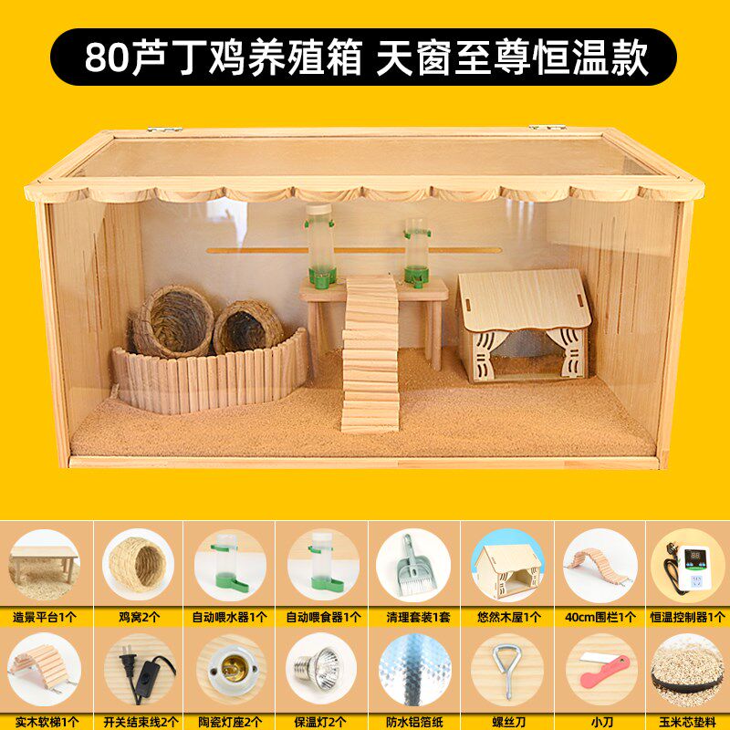 芦丁鸡饲养箱金丝熊笼子保温箱育雏箱鸽子鸟类亚克力透明观赏笼子