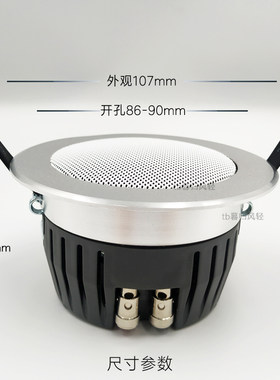 3寸喇叭吸顶定阻家庭背景音乐吊顶筒灯式迷你天花音响同轴音箱