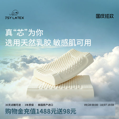 防螨抗菌  双层亲肤枕套 透气回弹 提升睡眠
