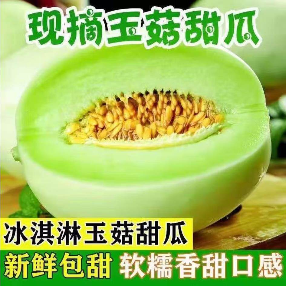 山东玉菇甜瓜冰淇淋玉菇软糯香甜蜜瓜新鲜水果甜瓜密香瓜玉菇甜瓜