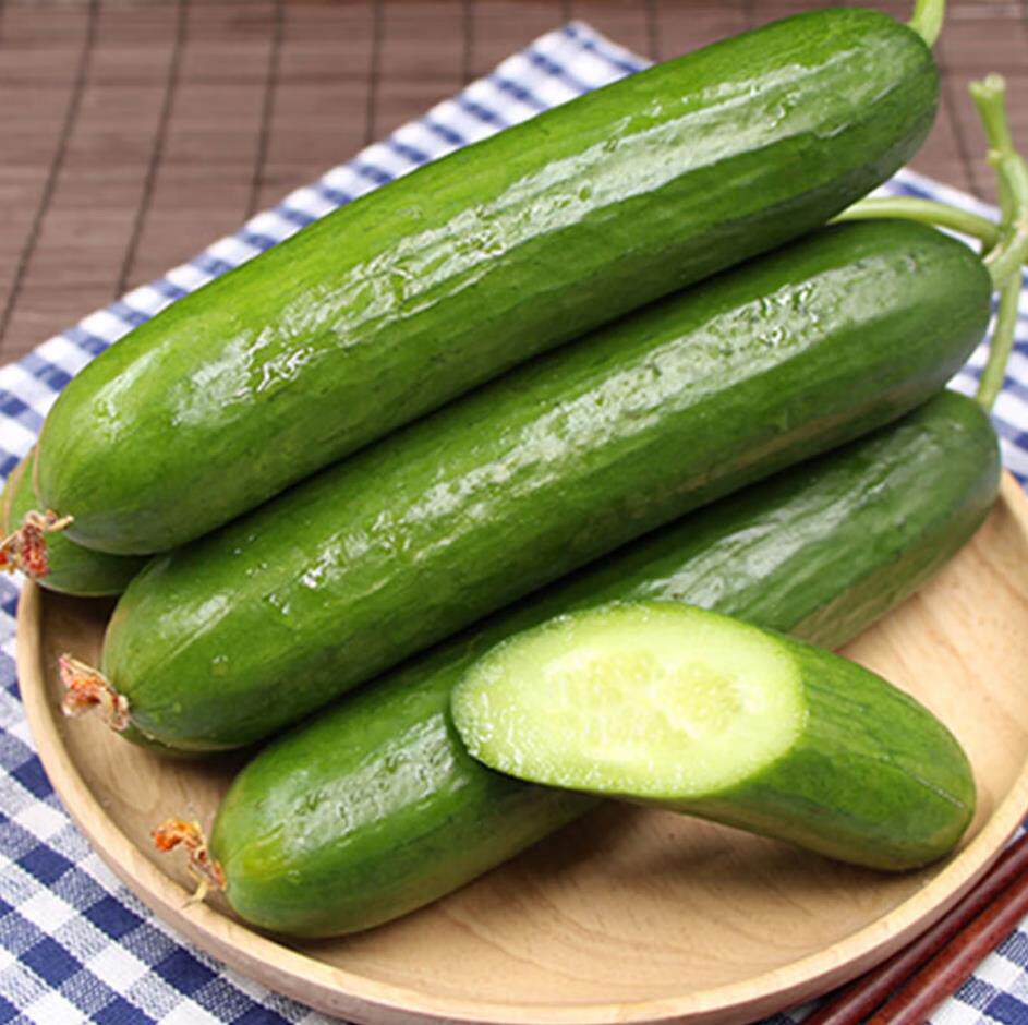 山东水果小黄瓜生吃现摘现发新鲜小青瓜3斤包邮水果黄瓜爽口脆嫩