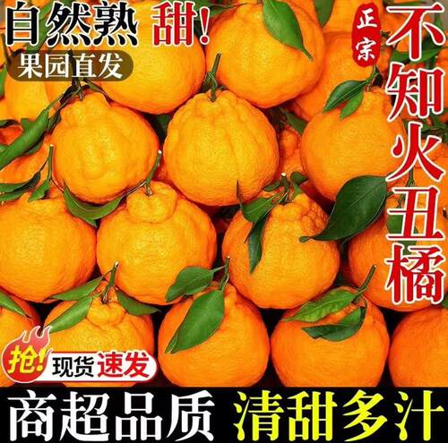四川不知火丑橘当季新鲜多汁甜