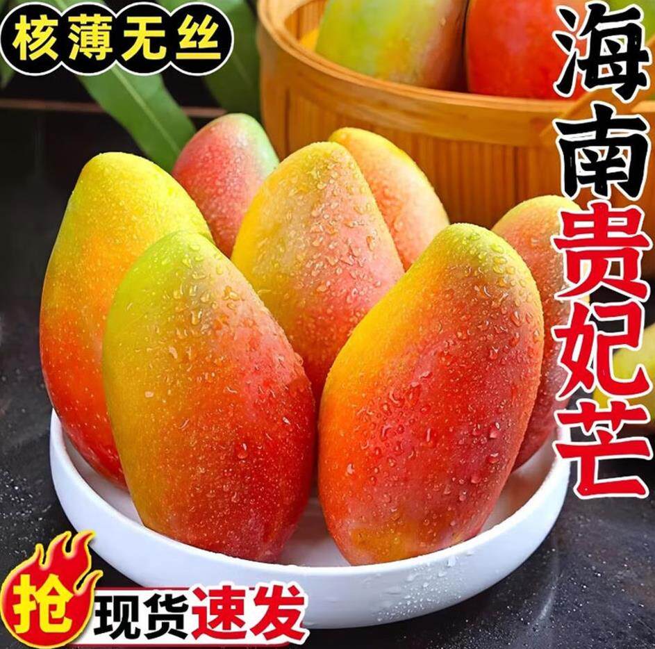 9斤海南贵妃芒果需催熟芒果包邮新鲜水果红金龙芒薄核肉厚贵妃芒