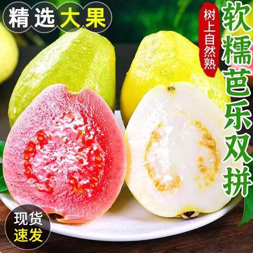 双拼芭乐番石榴产地直发新鲜水果广西芭乐奶油芭乐树熟软糯香甜