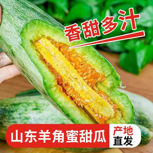 顺丰包邮山东羊角蜜香甜多汁