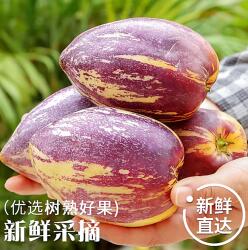 甘肃民勤沙漠人参果9斤水果新鲜当季整箱武威沙漠黄肉大果多汁甜