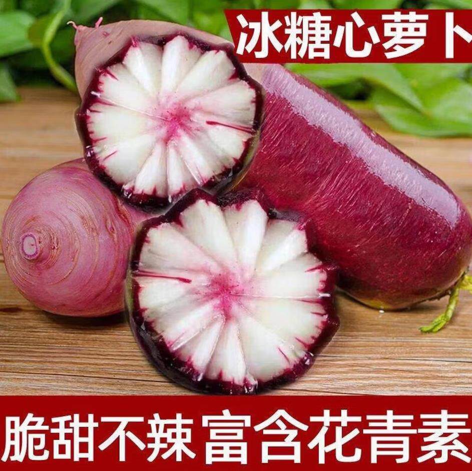 山东新鲜冰激凌水果萝卜冰糖心