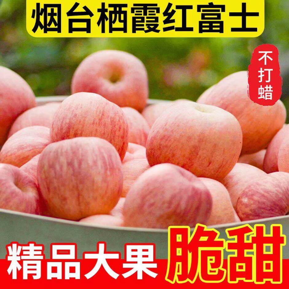 山东烟台红富士苹果脆甜多汁现发苹果条纹新鲜采摘红富士新鲜水果