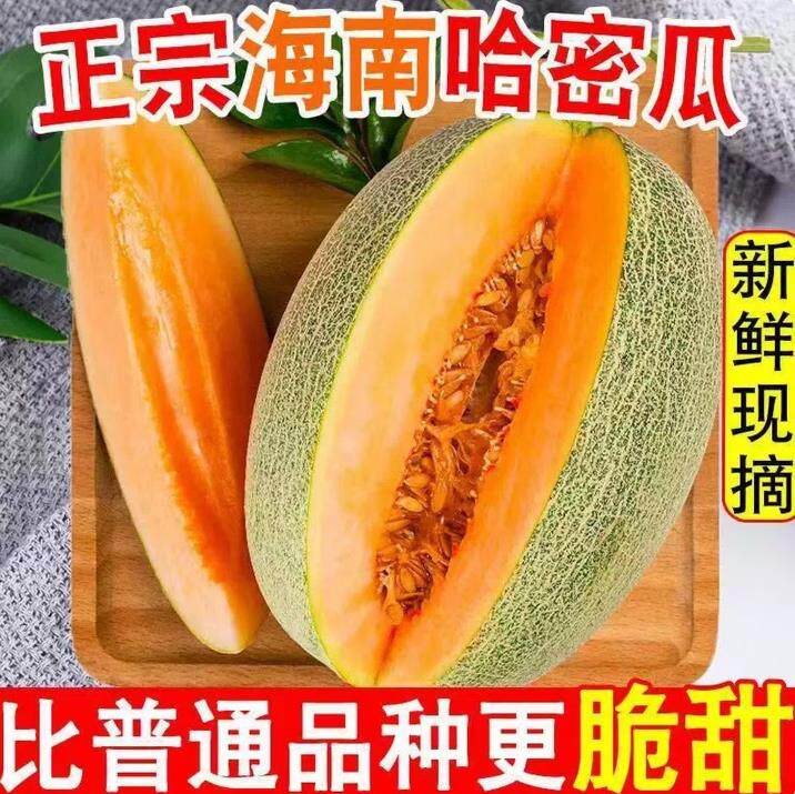 山东哈密瓜西州蜜甜瓜新鲜水果薄皮肉厚整件包邮生鲜蜜瓜脆甜多汁