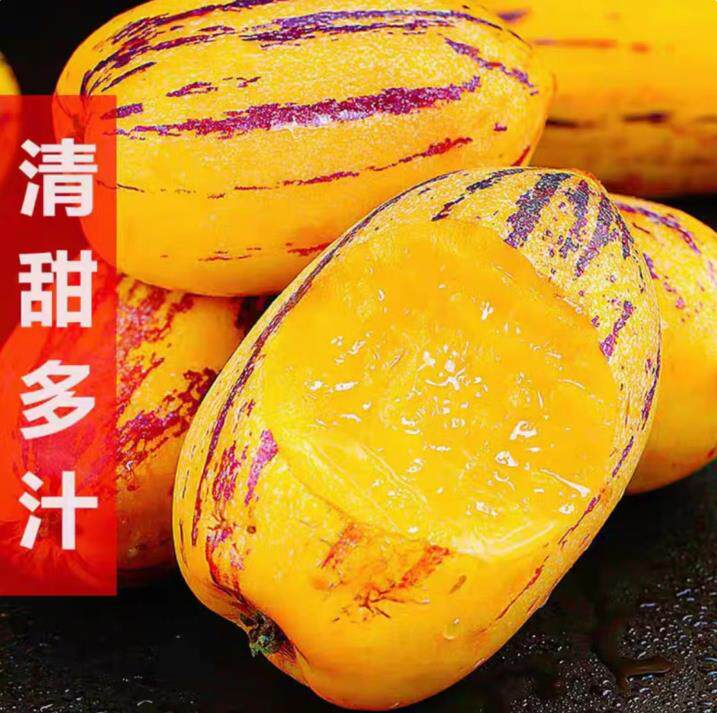 甘肃人参果长果人生果9斤/5斤/低糖新鲜水果树上熟树熟自然熟现摘