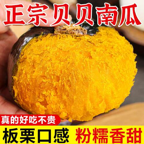 5斤礼盒装新鲜贝贝南瓜栗香小南瓜5斤宝宝辅食香甜软糯贝贝南瓜