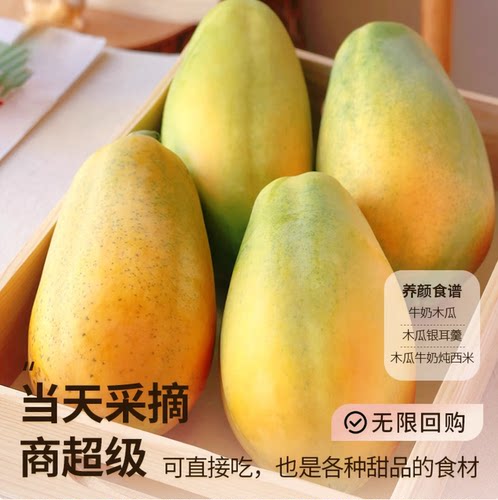 5斤广西红心木瓜 新鲜水果9斤整箱新鲜采摘当季青木瓜牛奶冰糖心