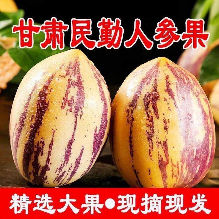 甘肃人参果长果人生果9斤/5斤/低糖新鲜水果树上熟树熟自然熟现摘