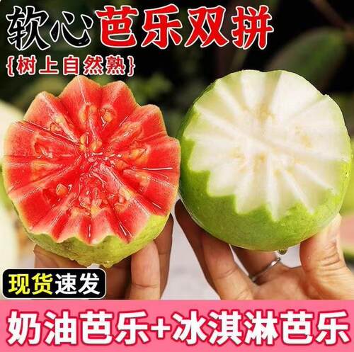 广西双拼奶油芭乐树熟软糯香甜