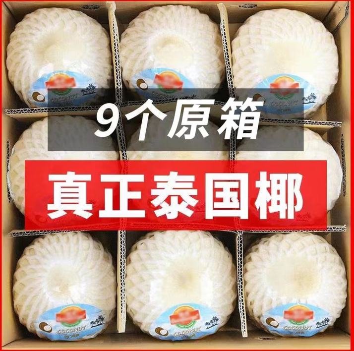 泰国香水椰青上海发货椰子包邮水果香水椰青新鲜9个原箱特产