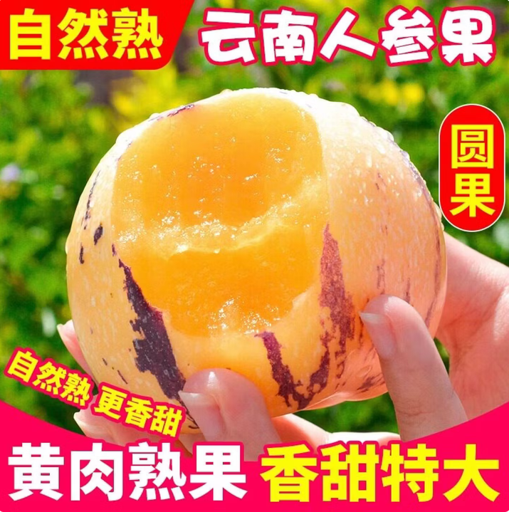 3/5斤云南人参果新鲜水果包邮产地直发孕妇人生果黄肉人参果大果