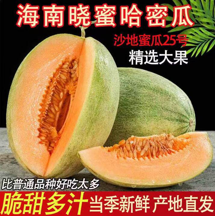 山东哈密瓜西州蜜甜瓜新鲜水果薄皮肉厚整件包邮生鲜蜜瓜脆甜多汁