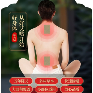 worYmwood xmoxa plaster 新品 argy spine Moxibustion cervical